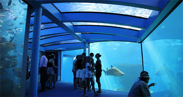 Palma Aquarium