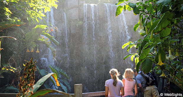 Palma Aquarium vattenfall